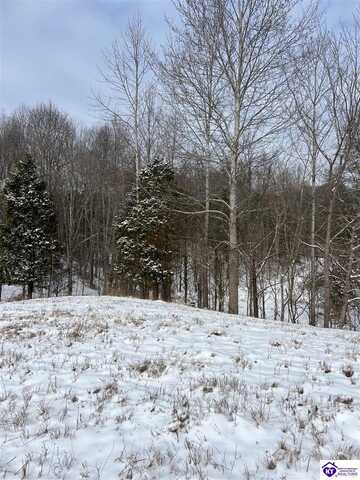 Tract 6 Tanyard Hollow Road, Munfordville, KY 42713