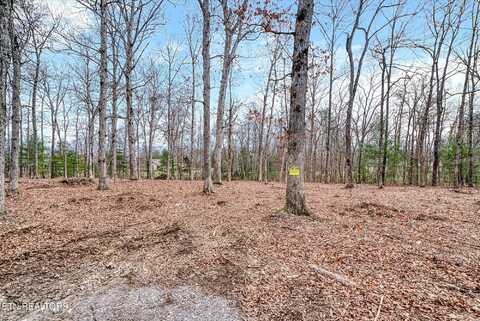 Lots 36&37 Carrie Drive, Crossville, TN 38572