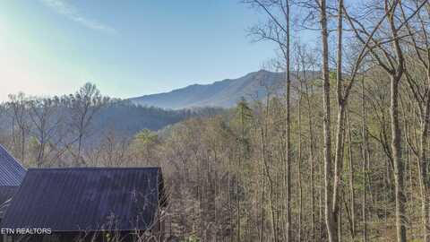 Cooper Hollow Rd, Townsend, TN 37882