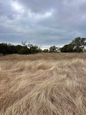 Vanguard Ridge Rd, Fredericksburg, TX 78624