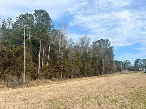 - Hwy 15 N, Louin, MS 39338