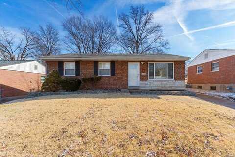 9838 Ione Lane, Saint Louis, MO 63123