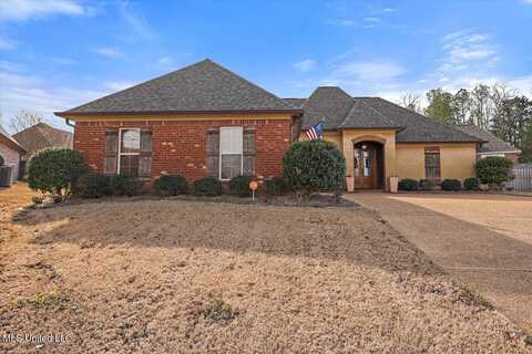 303 N Haven Cove, Brandon, MS 39047