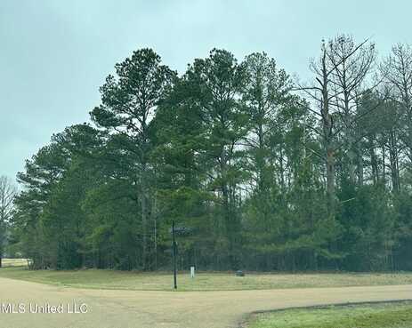 Lot 49 Livingston Drive, Madison, MS 39110