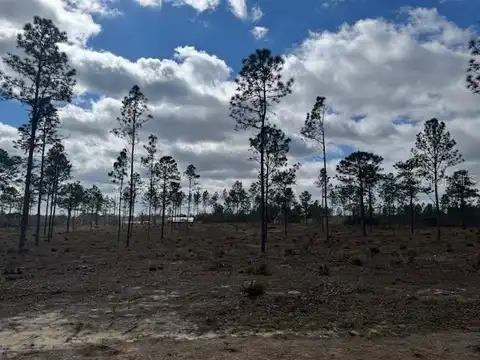 Lot C SE STATE ROAD 121, MORRISTON, FL 32668