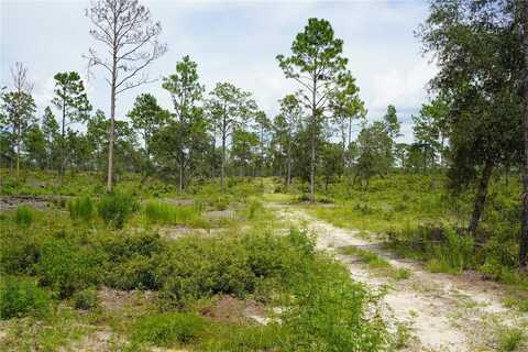 SE STATE ROAD 121 LOT A, MORRISTON, FL 32668