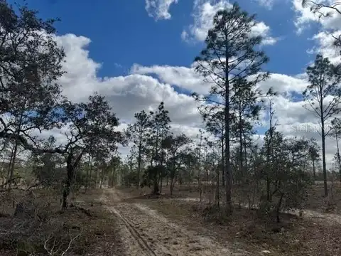 Lot A SE STATE ROAD 121, MORRISTON, FL 32668