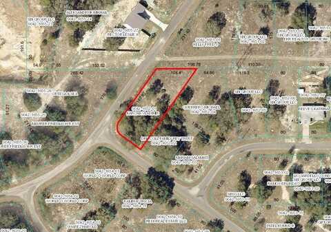 Lot 1 GUAVA TERRACE, OCKLAWAHA, FL 32179