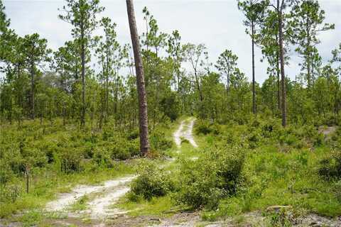SE STATE ROAD 121 LOT B, MORRISTON, FL 32668