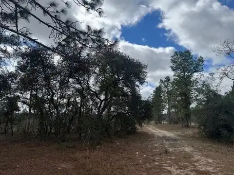 Lot B SE STATE ROAD 121, MORRISTON, FL 32668