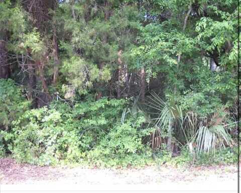 8438 W ELKHORN DRIVE, HOMOSASSA, FL 34448