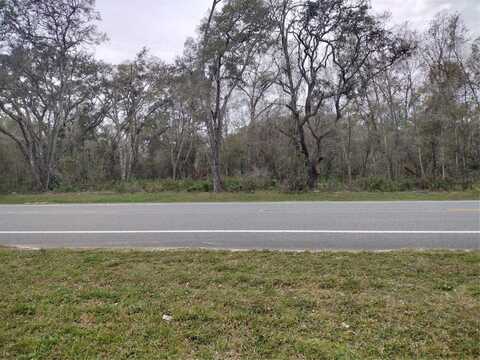 TREIMAN BOULEVARD, WEBSTER, FL 33597