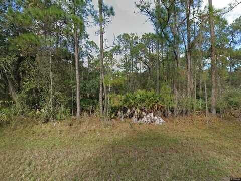 505 S LANIER AVENUE, FORT MEADE, FL 33841