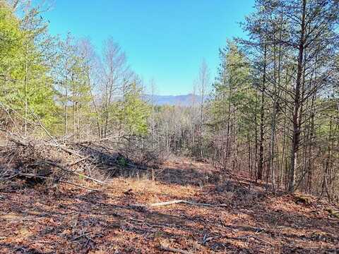 125 Milk & Honey Dr., MURPHY, NC 28906