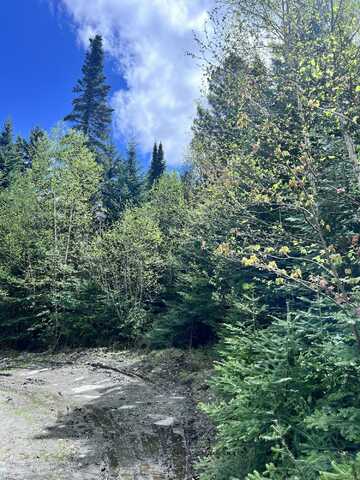 Lot 58 Left Branch, Sandy River Plt, ME 04970