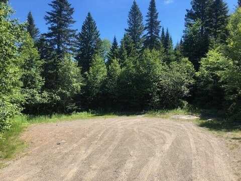 Lot 58 Left Branch, Sandy River Plt, ME 04970