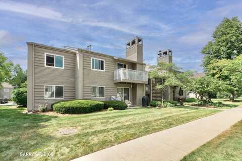 46 N Park Avenue, Lombard, IL 60148