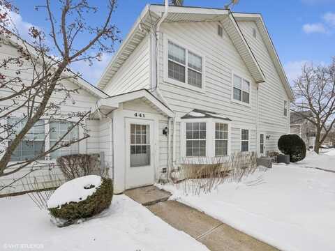 441 N Cambridge Drive, Palatine, IL 60067