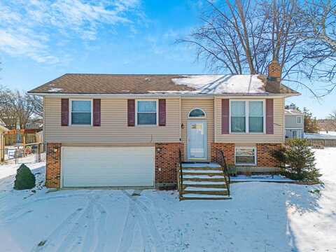 20855 S Acorn Ridge Drive, Frankfort, IL 60423