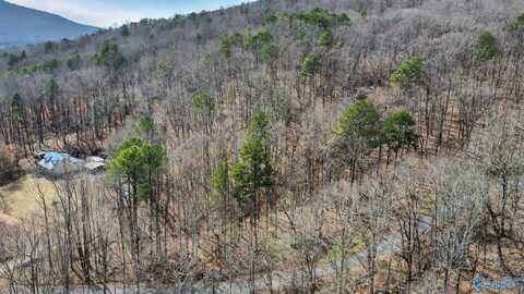 3.36 Acres Blowing Cave Road, Gurley, AL 35748