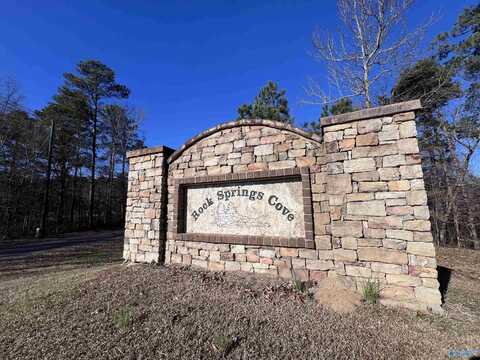 Lot 1 Rock Spring Road, Warrior, AL 35180