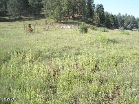 3090 Happy Trails Drive, Flagstaff, AZ 86005