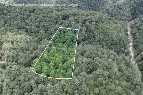 Lot 1687 Shade Tree Drive, Talking Rock, GA 30534