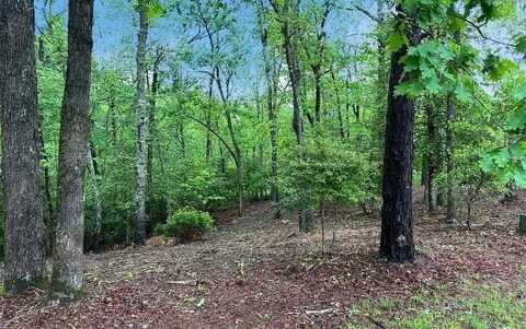 Lot 7 Brasstown Trails, Brasstown, NC 28909