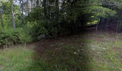 Lot 305 Lemmon Lane, Ellijay, GA 30540