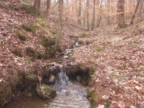 Jones Mountain Road, Talking Rock, GA 30175