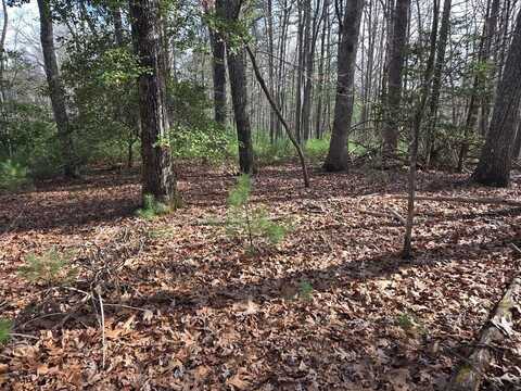 Lot 2 Mount Pleasant Ridge Road, Blairsville, GA 30512