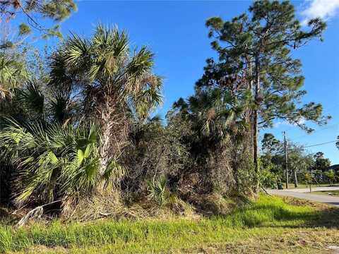 Lot 21 Simpson Avenue, North Port, FL 34286