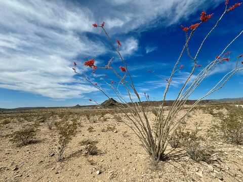 LOT 23 Salt Grass Draw, Terlingua, TX 79852