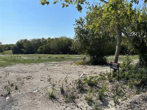 Lot 3 E Ball Street, Tom Bean, TX 75489