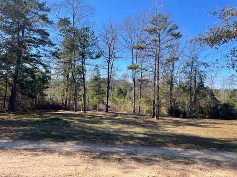 222 Gumball Lane, Coffeeville, AL 36524