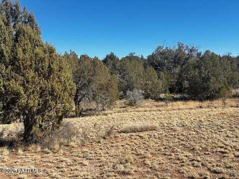 32372 Ancho Road, Seligman, AZ 86337