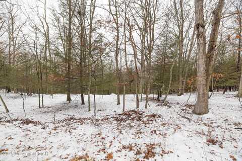 Lot 24 Clubhouse Drive, East Stroudsburg, PA 18302