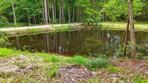 152 George Ford Rd., Carriere, MS 39426