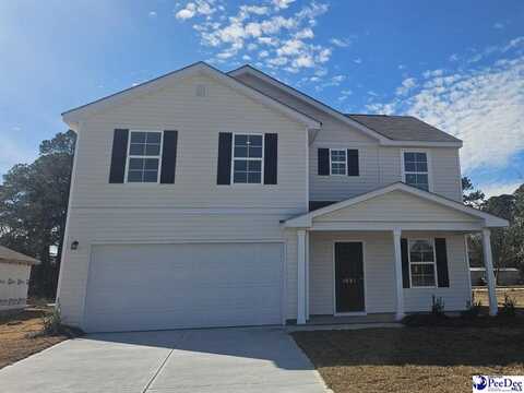 1001 Rushmore Loop, Florence, SC 29506