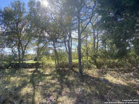 115 N John Bird, Blanco, TX 78606