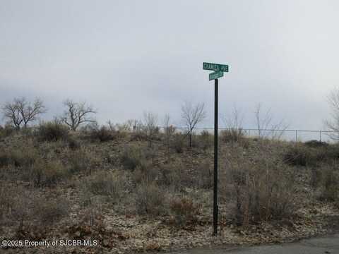 Nya ANASAZI DR., Aztec, NM 87410