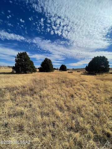 75 Harvest Drive, Sonoita, AZ 85637