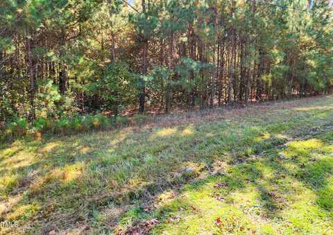 Tract 1a Abattoir Road, Coats, NC 27521