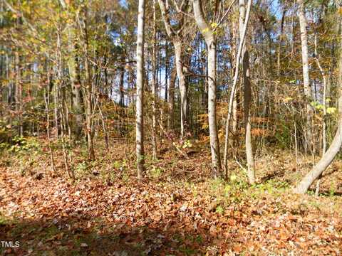 Lot 21 Lewis Lane, Henderson, NC 27537