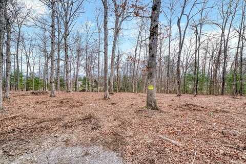 2.66ac Carrie Drive, CROSSVILLE, TN 38572