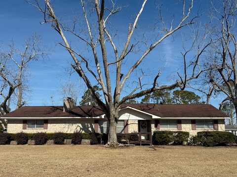 3 E Kelly Lane, Hazlehurst, GA 31539