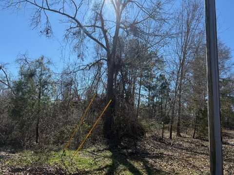 00 Wragler Trail (lot), Hazlehurst, GA 31539