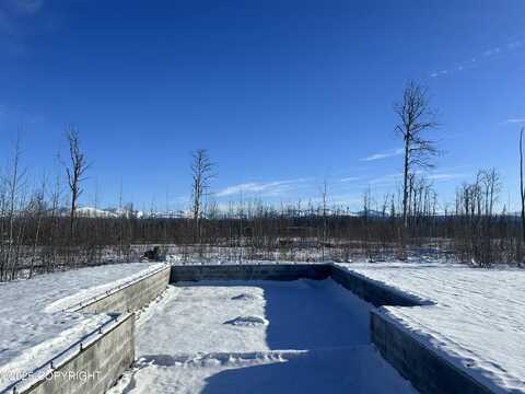 15408 Wild Bill Way, Willow, AK 99688