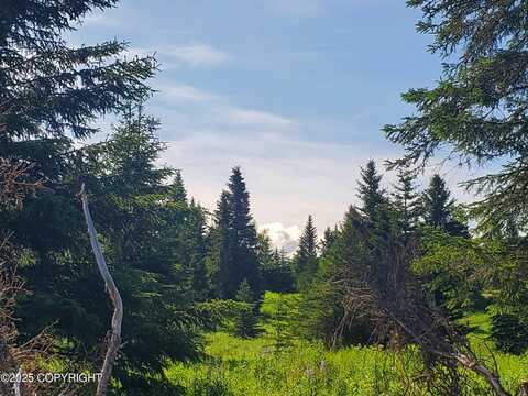 17490 Chefornak Street, Ninilchik, AK 99639