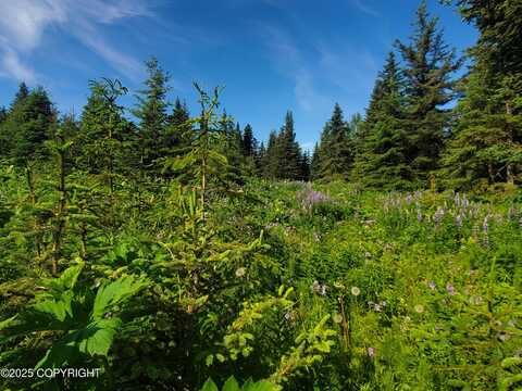 17617 Kimeluk Street, Ninilchik, AK 99639
